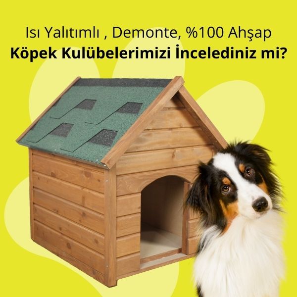 Köpek Kulübeleri