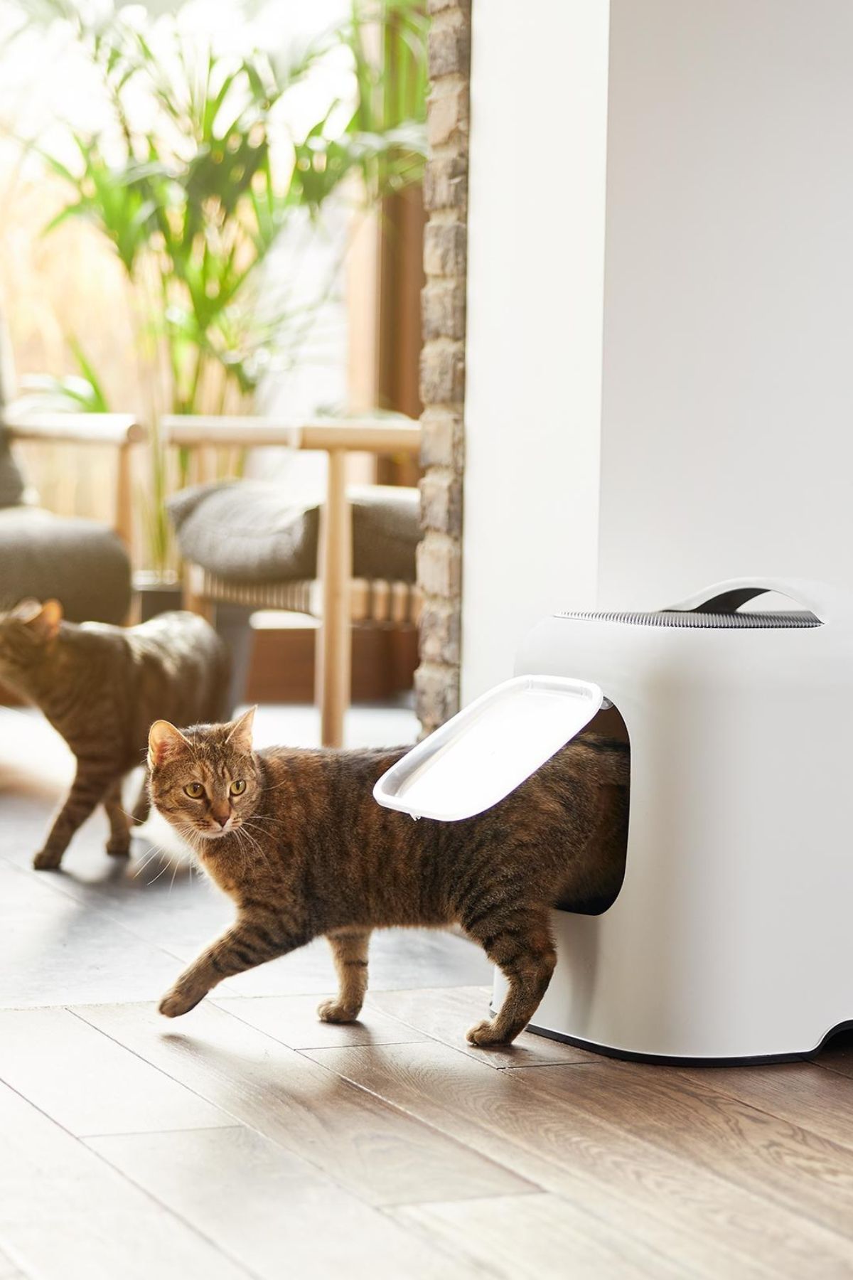Biala Kapalı Kedi Tuvaleti - Karbon Filtreli ve Kolay Temizlenebilir