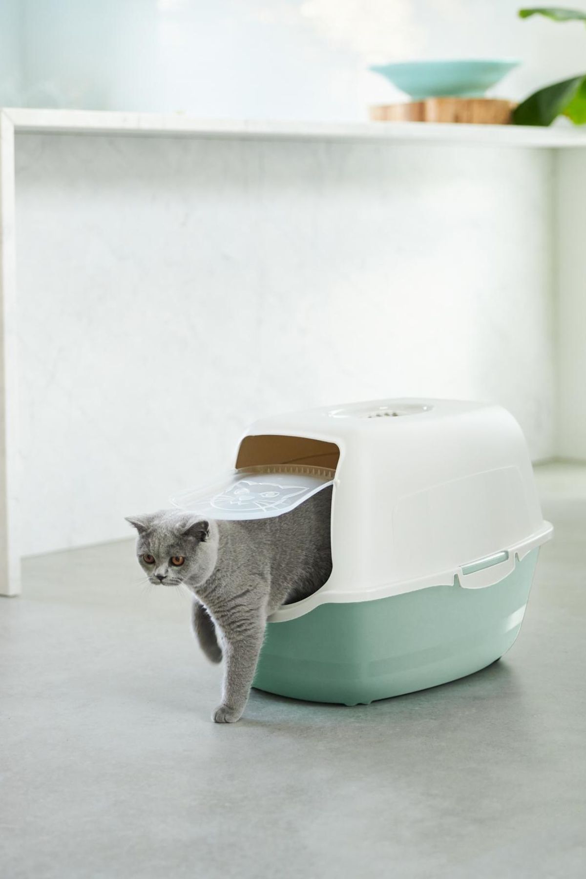 Eco Bailey Kapalı Kedi Tuvaleti - Ekonomik, Karbon Filtreli ve Çevre Dostu