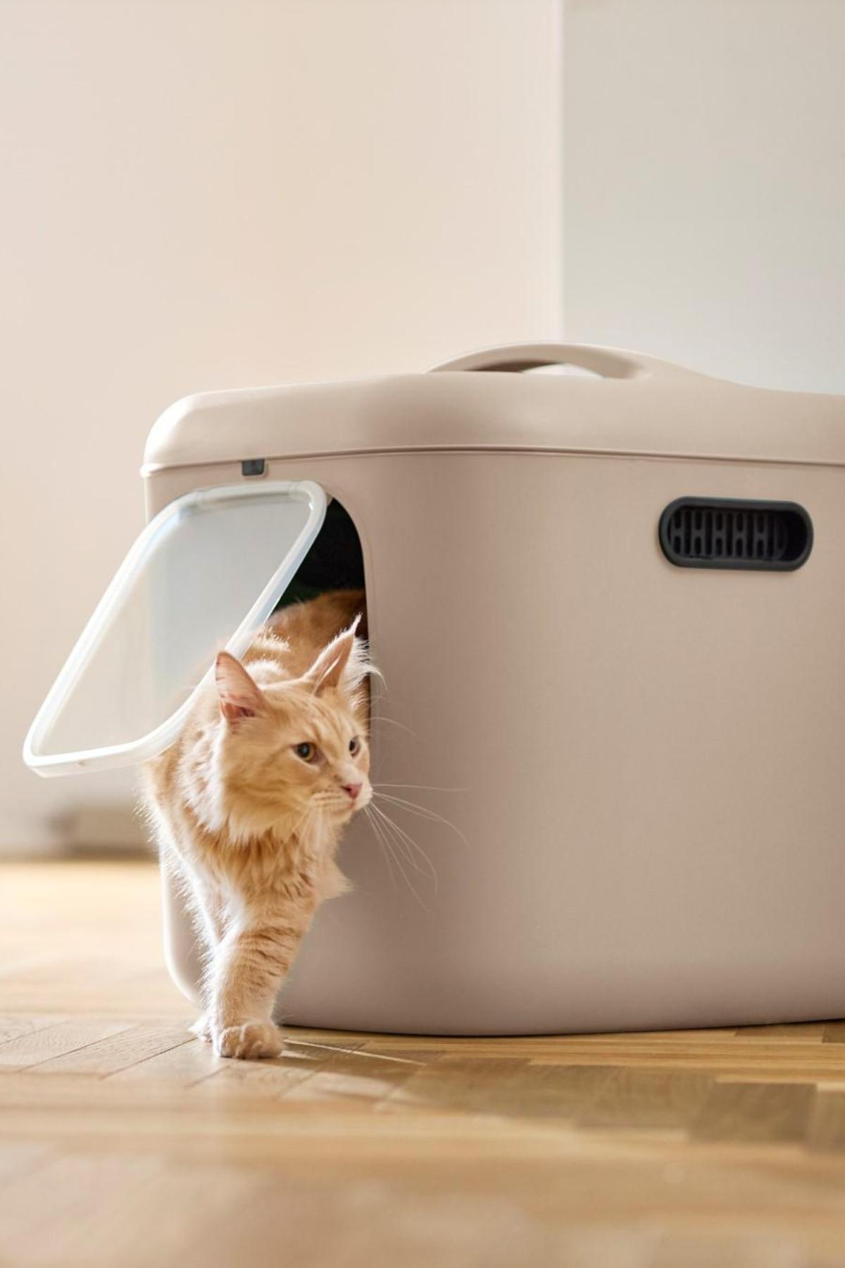 Biala XL Kedi Tuvaleti – Büyük Kediler ve Çok Kedili Evler İçin İdeal