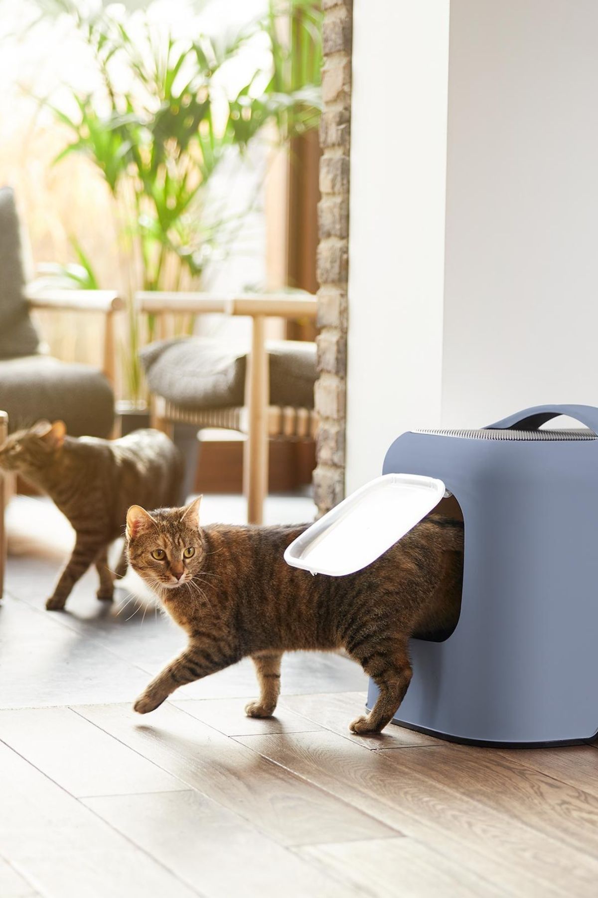 Biala Kapalı Kedi Tuvaleti - Karbon Filtreli ve Kolay Temizlenebilir