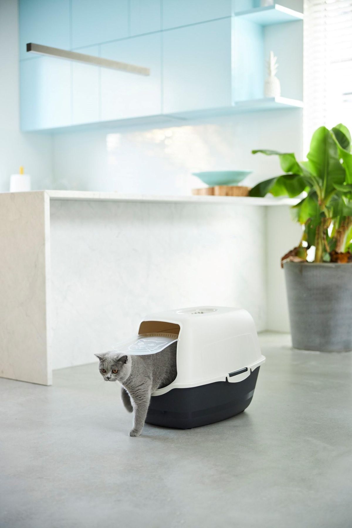 Eco Bailey Kapalı Kedi Tuvaleti - Ekonomik, Karbon Filtreli ve Çevre Dostu