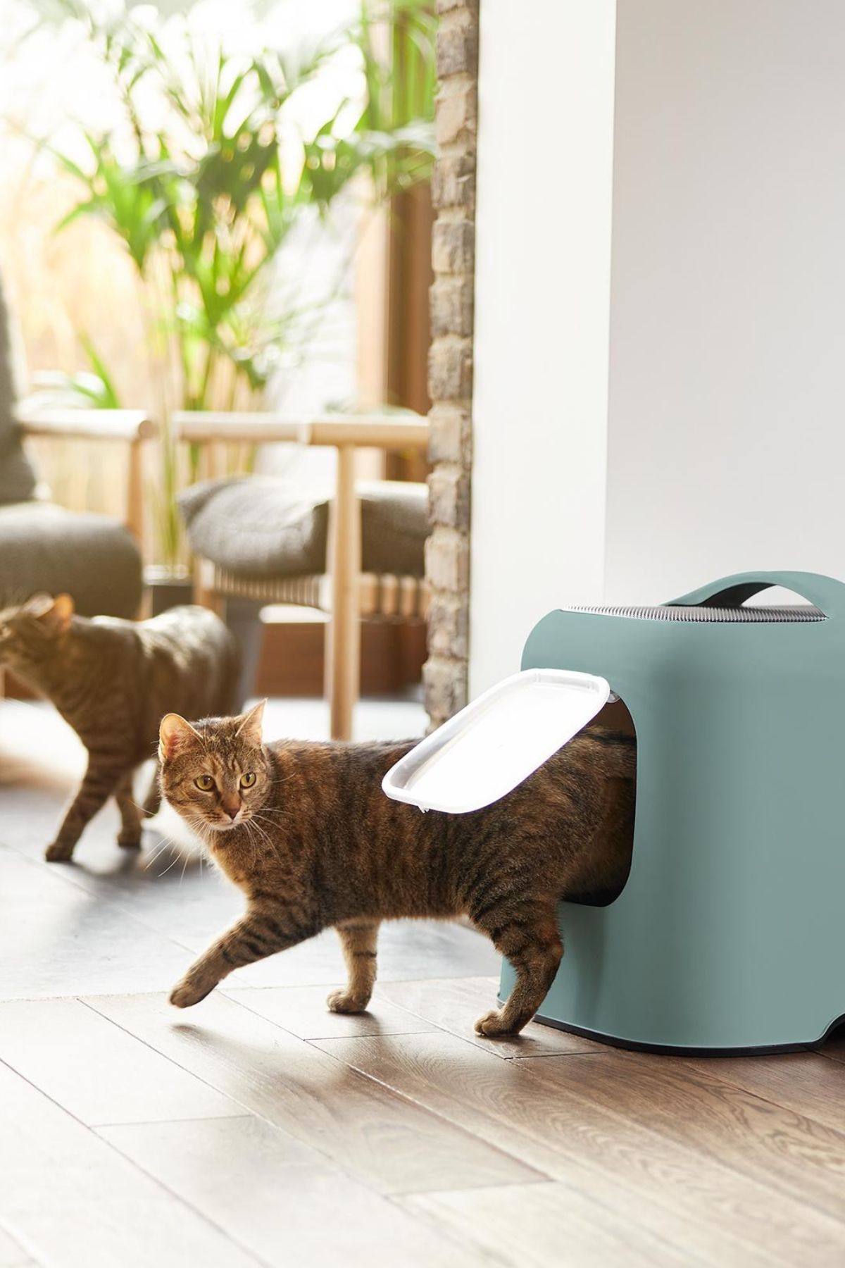 Biala Kapalı Kedi Tuvaleti - Karbon Filtreli ve Kolay Temizlenebilir