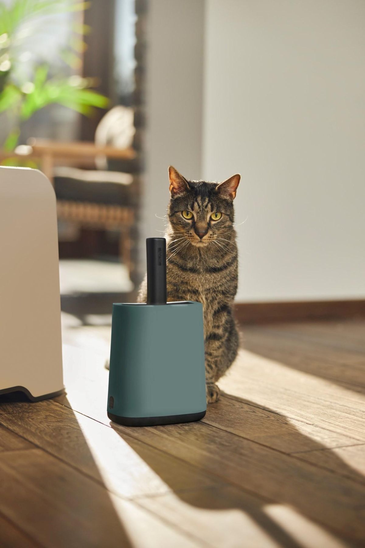 Biala Kedi Kumu Küreği ve Tutacağı - Şık ve Fonksiyonel Temizlik Seti