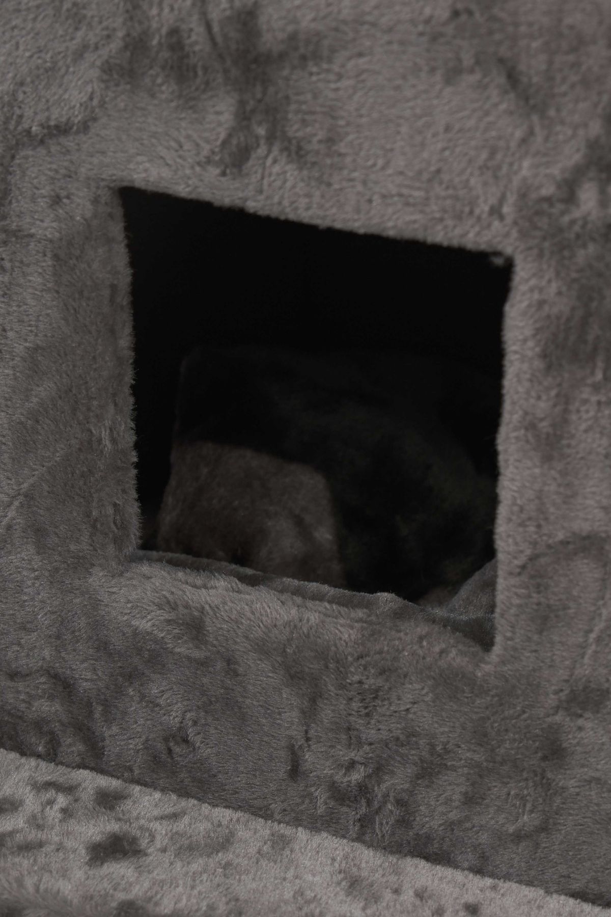 Münih Tırmalamalı Kedi Evi