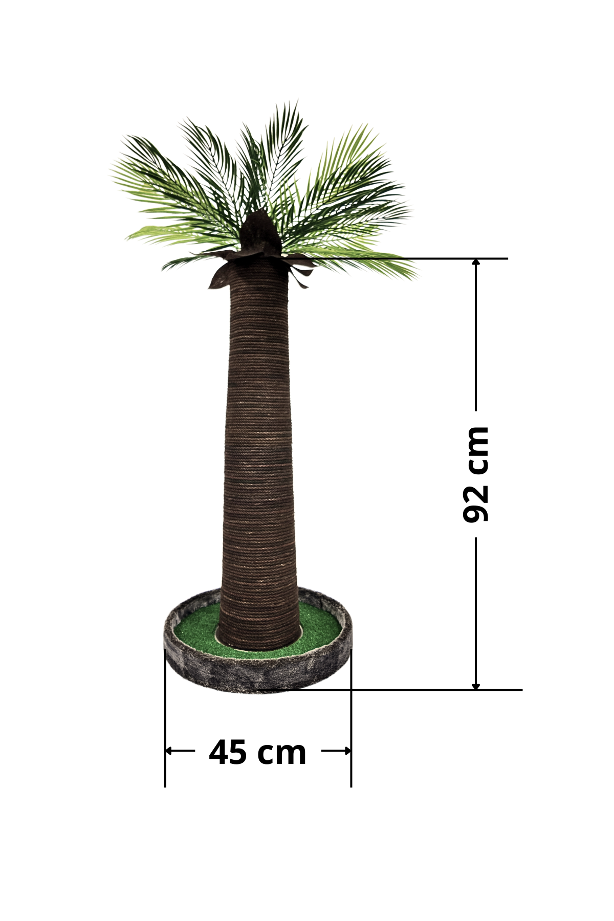 Palmiye Kedi Tırmalaması