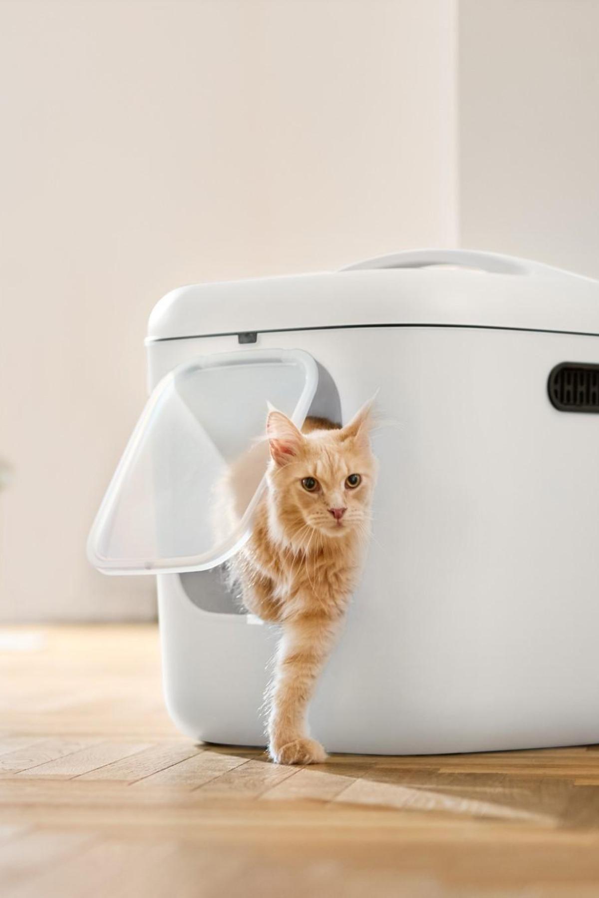 Biala XL Kedi Tuvaleti – Büyük Kediler ve Çok Kedili Evler İçin İdeal