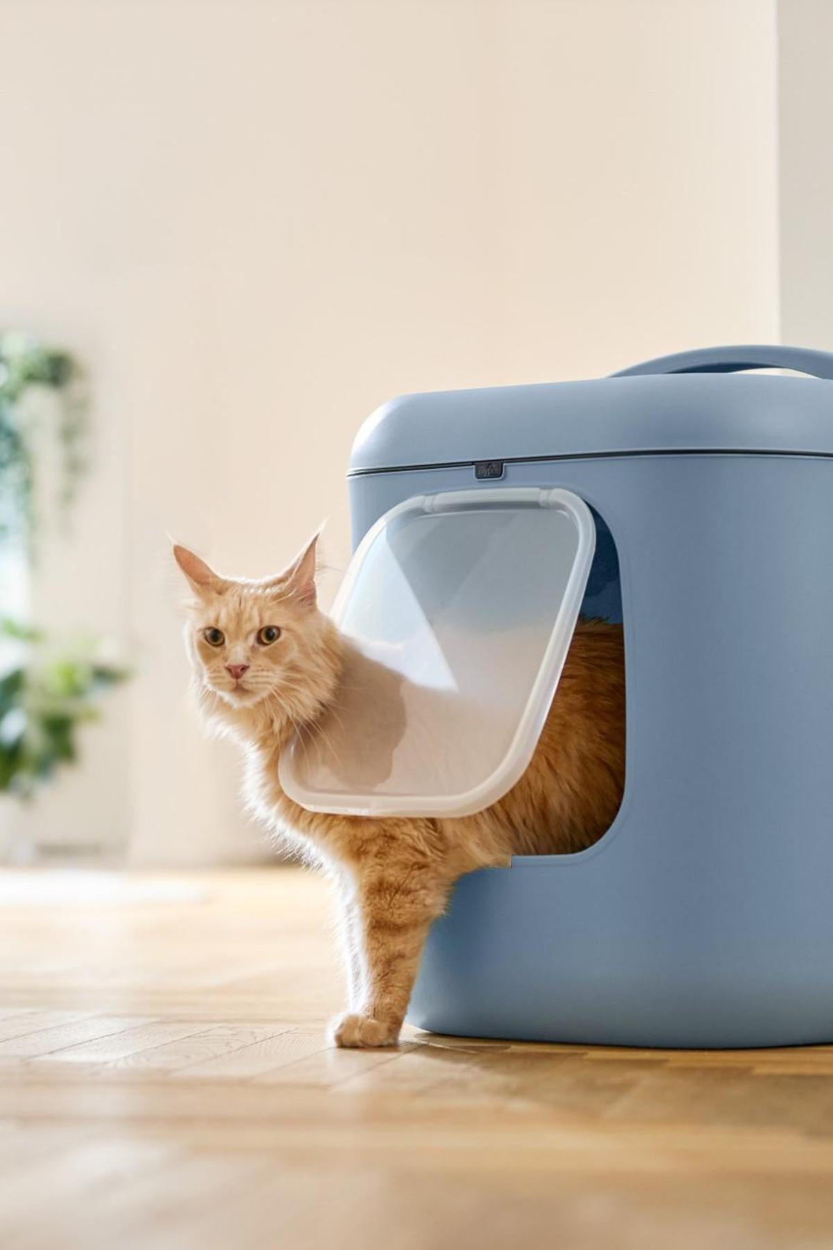 Biala XL Kedi Tuvaleti – Büyük Kediler ve Çok Kedili Evler İçin İdeal
