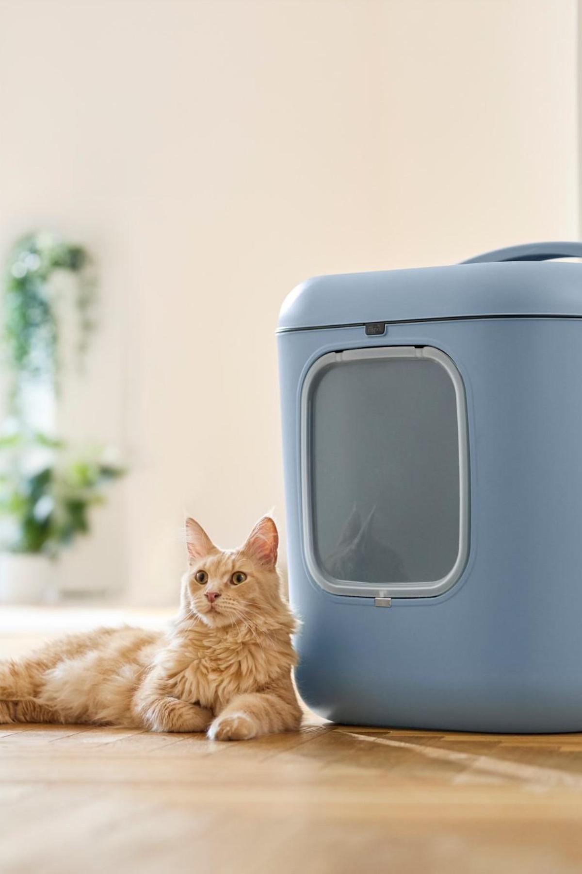 Biala XL Kedi Tuvaleti – Büyük Kediler ve Çok Kedili Evler İçin İdeal