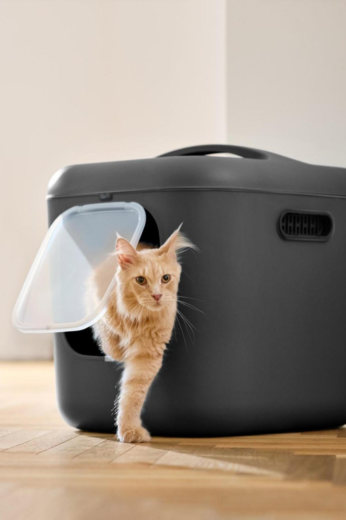 Biala XL Kedi Tuvaleti – Büyük Kediler ve Çok Kedili Evler İçin İdeal
