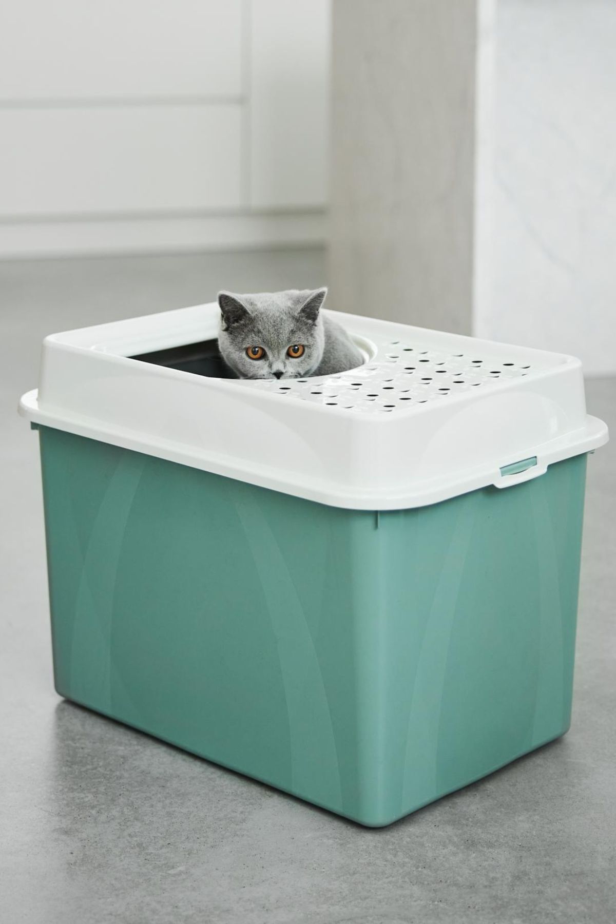 Eco Berty Üstten Girişli Kedi Tuvaleti - Çevre Dostu ve Kolay Temizlenebilir