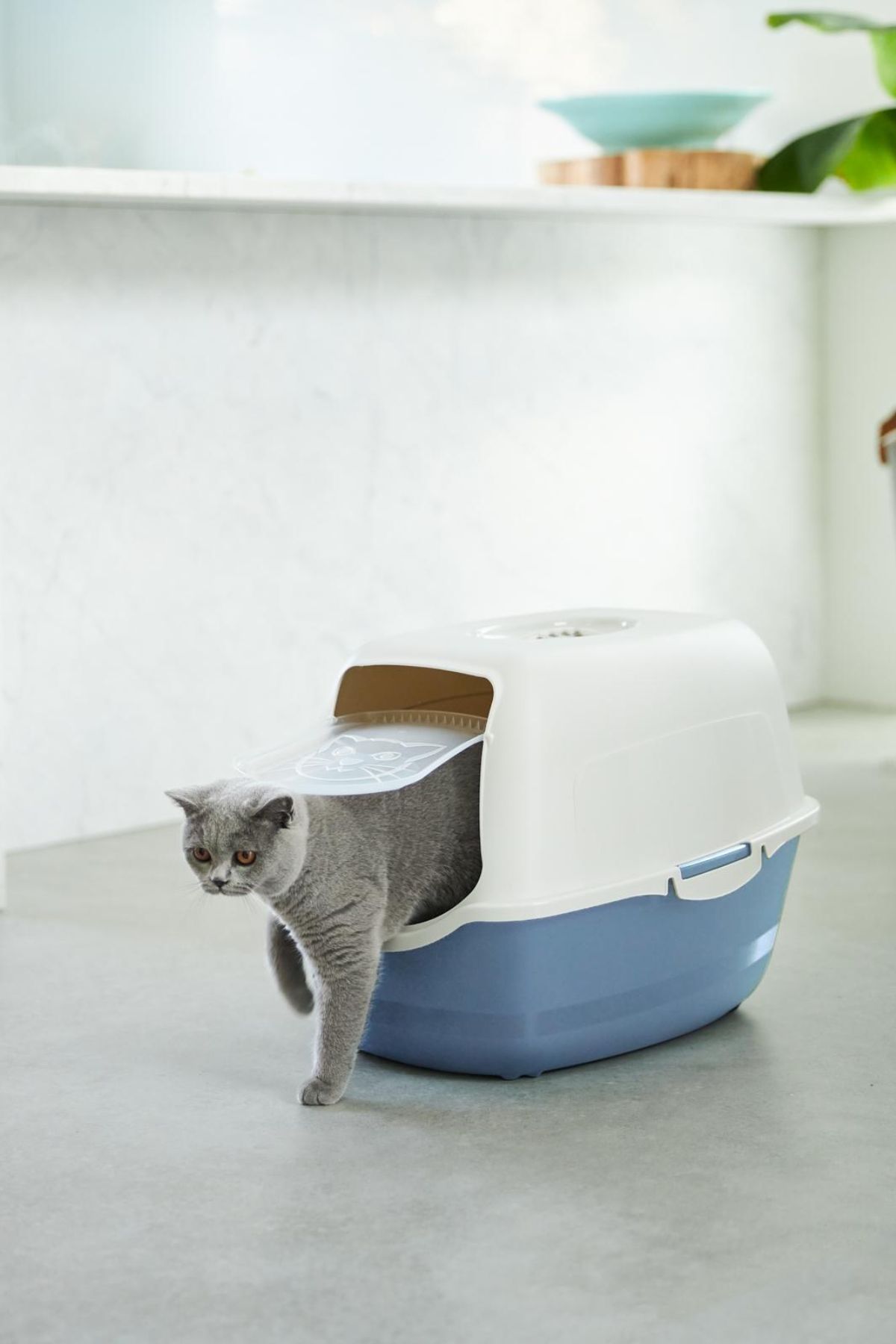 Eco Bailey Kapalı Kedi Tuvaleti - Ekonomik, Karbon Filtreli ve Çevre Dostu