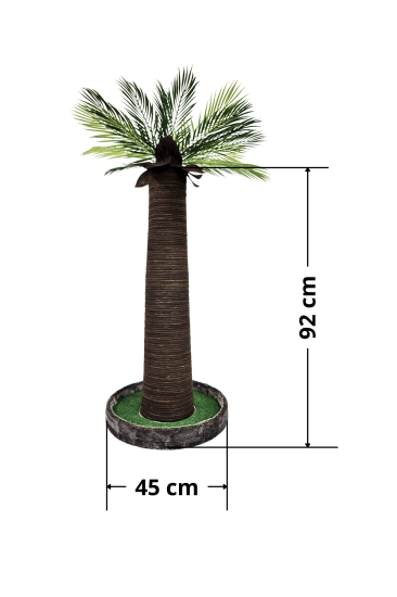 Palmiye Kedi Tırmalaması