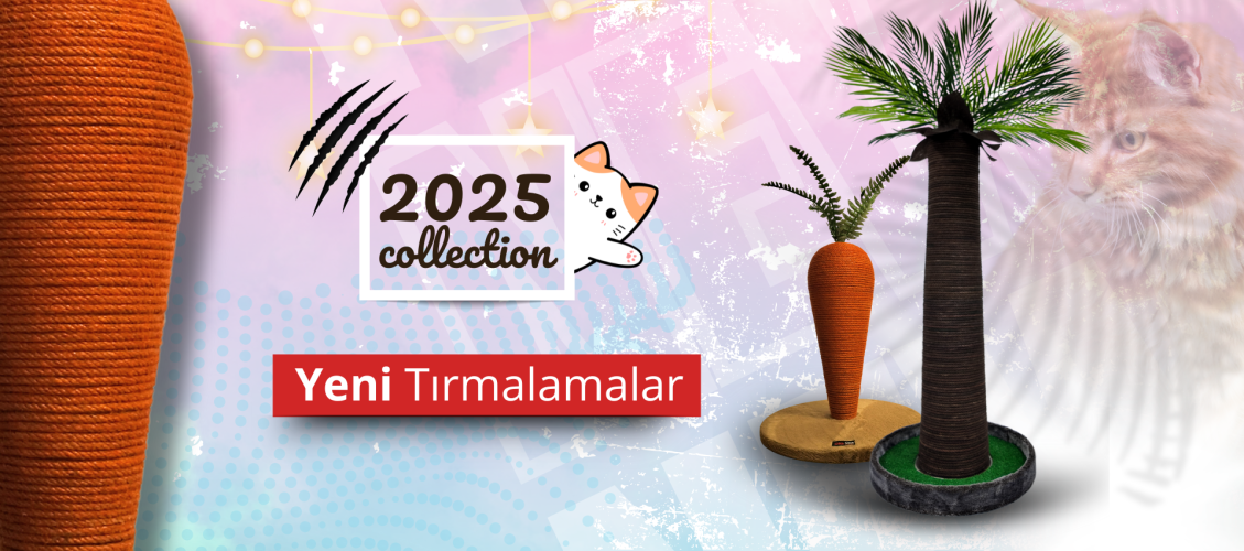 2025 Model Kedi Tırmalama Modelleri